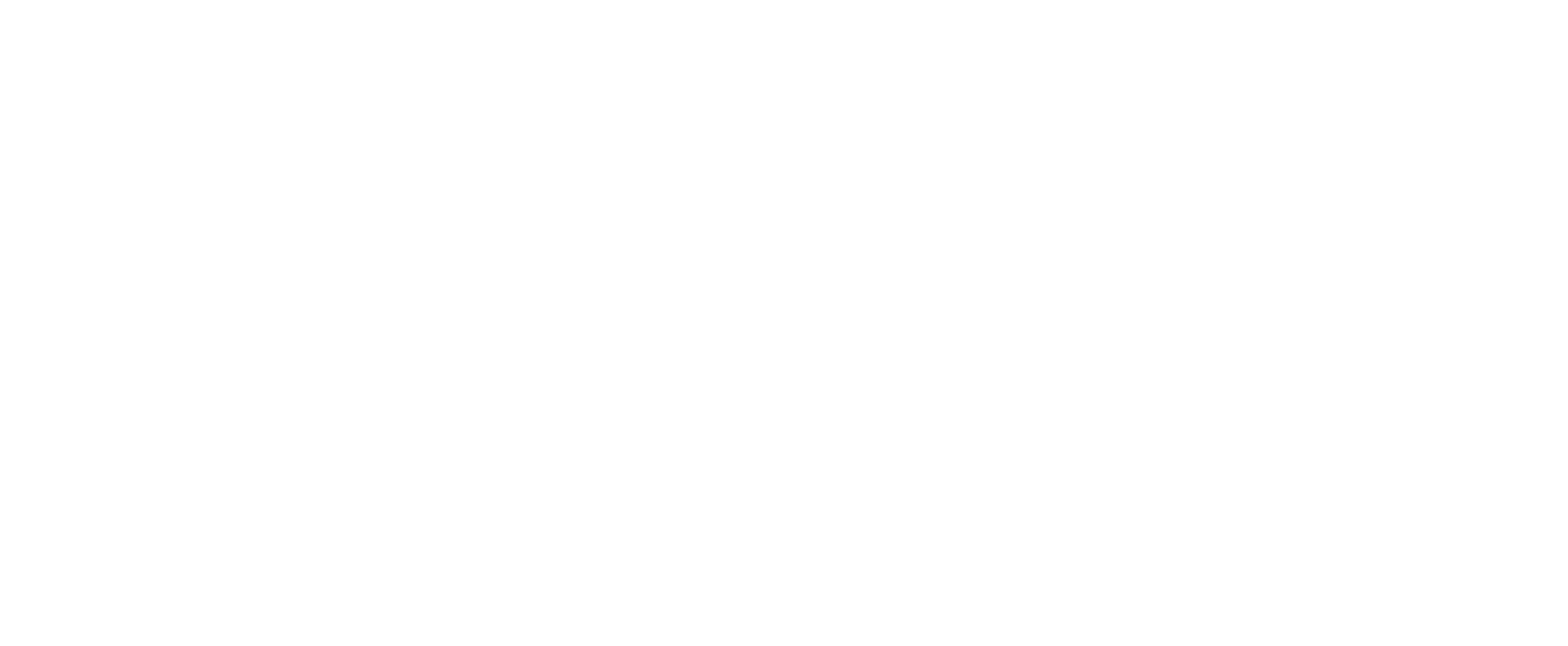 FRISA